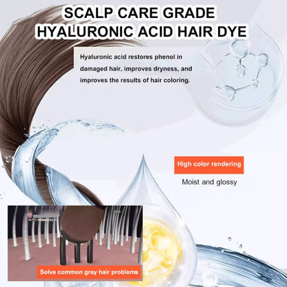 New 2 in 1 Comb Hair Dye